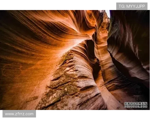 荧屏流转，光影织梦：中国电视剧的时代变迁与文化脉络